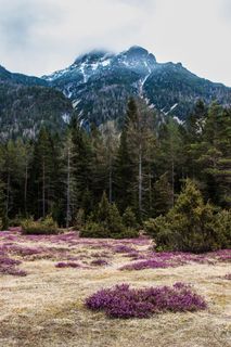 Photo from Jakob Vidler along the tour