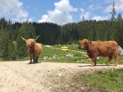 Foto de Alois Bründlinger a lo largo del recorrido