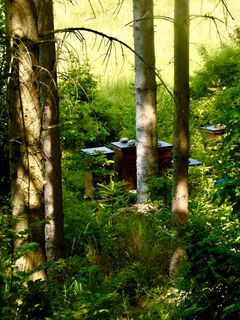 Photo de Kellner Heidi le long du parcours