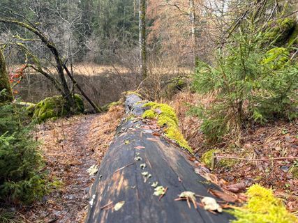 Photo de Norbert Herbig le long du parcours