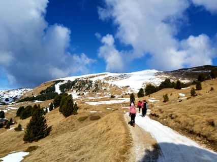 Foto de Antonietta Havasi a lo largo del recorrido