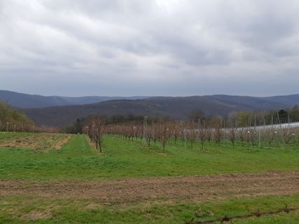 Foto von mmecki entlang der Tour