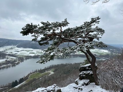 Foto de Norbert Herbig a lo largo del recorrido