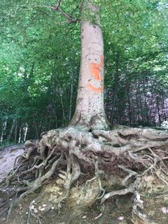 Foto von Kellner Heidi entlang der Tour