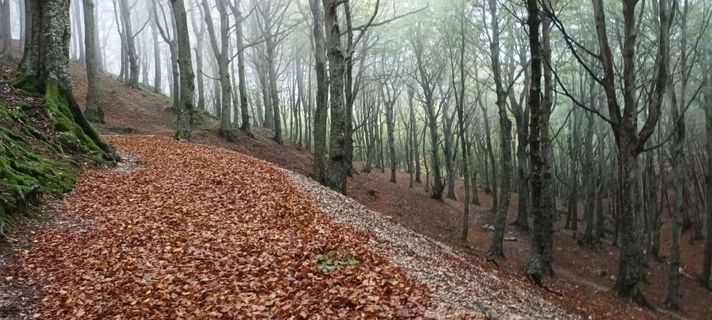 Fotografija s spletne strani Gabriele Cucchi na poti