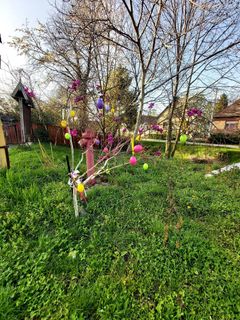 Fotografia z Antonietta Havasi na trase