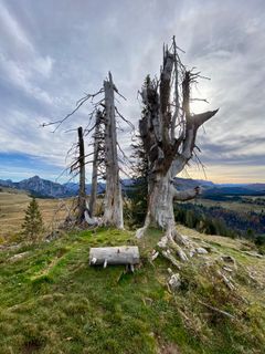 Foto von Stefan Sunkler entlang der Tour