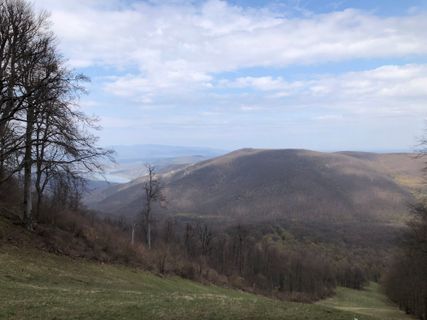 Photo de Gergő Pavlik le long du parcours