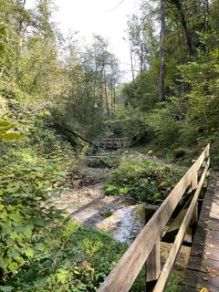 Photo de GabrielSR76 le long du parcours
