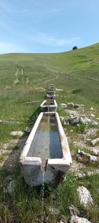 Fotografija s spletne strani Gabriele Cucchi na poti