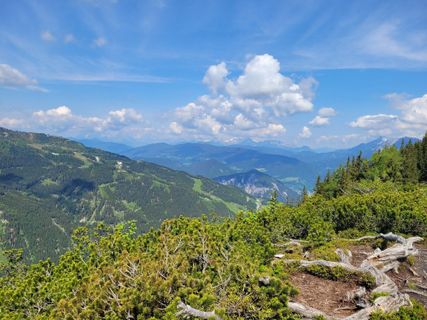Photo de mmecki le long du parcours