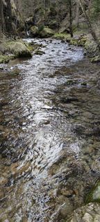 Photo de Thomas Klein le long du parcours