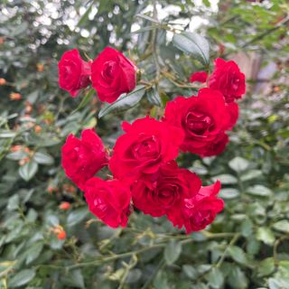 Photo de Norbert Herbig le long du parcours