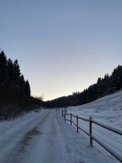 Fotografija s spletne strani Tamara Pauli na poti