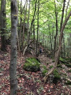 Fotografia z Christian Schulz na trase