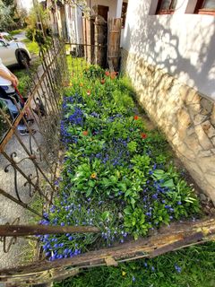 Fotografia z Antonietta Havasi na trase