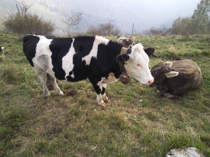 Zdjęcie z Ugo Rocca wzdłuż trasy