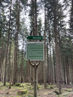 Foto von ondy Ondy entlang der Tour