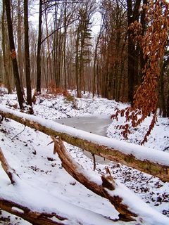 Fotografie z Kellner Heidi na trase