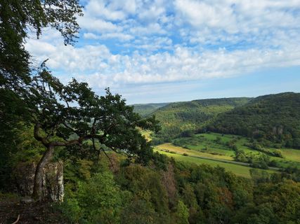 Zdjęcie z Jaap Rozeboom wzdłuż trasy