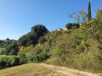 Foto de Holm Trittel a lo largo del recorrido