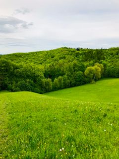 Foto von Kellner Heidi entlang der Tour
