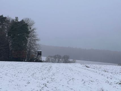 Foto von Norbert Herbig entlang der Tour