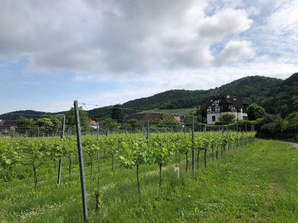 Foto von Omer Sharon entlang der Tour