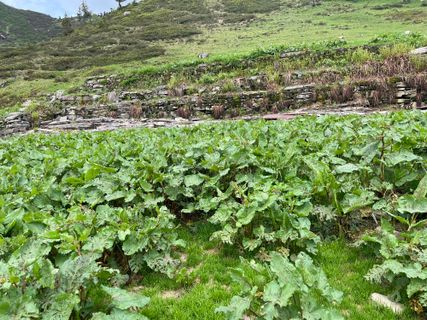 Photo de Raik Strassas le long du parcours
