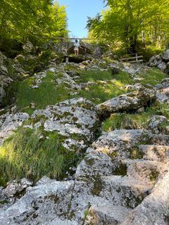 Photo de Michael Bauer le long du parcours