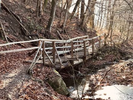 Fotografie z Kellner Heidi na trase