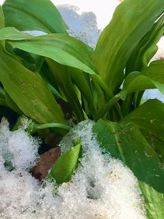 Foto von Kellner Heidi entlang der Tour