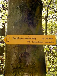 Fotografija s spletne strani Kellner Heidi na poti