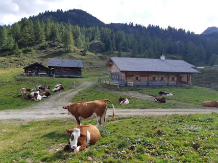 Foto de mmecki a lo largo del recorrido
