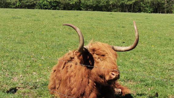 Foto de Bernd Schmitt a lo largo del recorrido