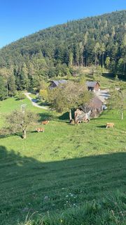 Fotografija s spletne strani Wolfgang Hausberger na poti