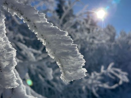 Foto von Norbert Herbig entlang der Tour