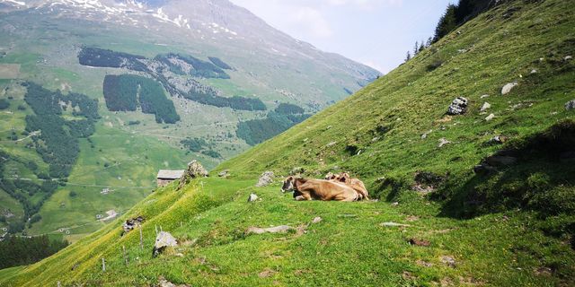 Zdjęcie z Claudia wzdłuż trasy