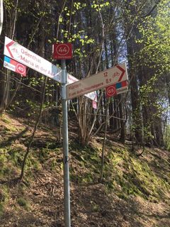 Fotografia z Allan Erjavec na trase