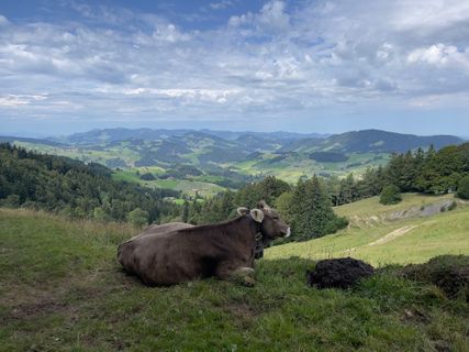 Foto von GabrielSR76 entlang der Tour