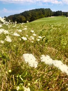 Foto von Kellner Heidi entlang der Tour