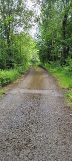 Photo de Nicky le long du parcours
