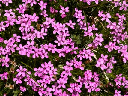 Foto von Norbert Herbig entlang der Tour