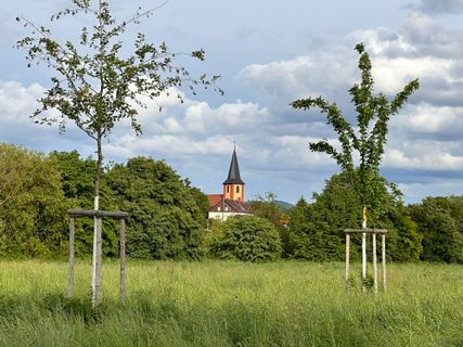 Foto von Norbert Herbig entlang der Tour