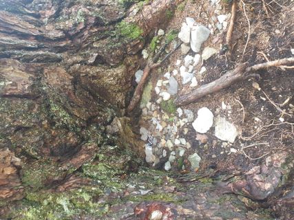 Foto von GAdamec entlang der Tour