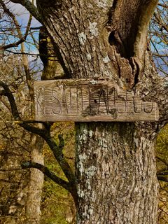 Zdjęcie z Kellner Heidi wzdłuż trasy