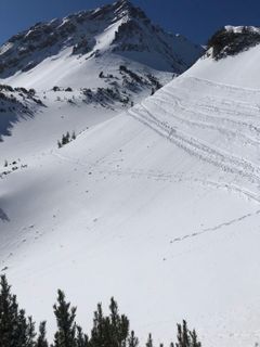 Fotografie z Heikoala na trase