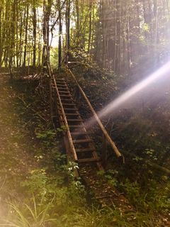 Foto von Kellner Heidi entlang der Tour