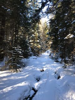 Fotografie z Heikoala na trase