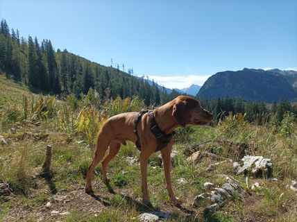 Foto von Peter Mittermayer 1 entlang der Tour
